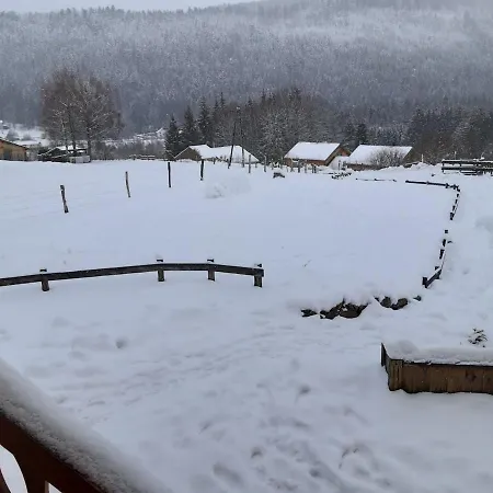 Le P'tit Nid Du Bucheron Apartment Gerardmer