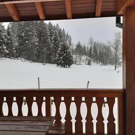 Le P'tit Nid Du Bucheron * Gerardmer
